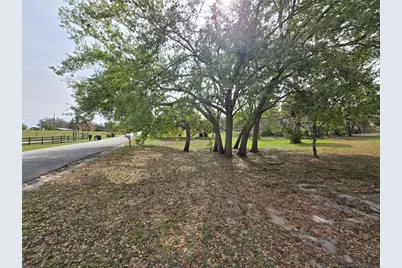 Petes Lane, Davenport, FL 33837 - Photo 3