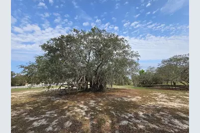 Petes Lane, Davenport, FL 33837 - Photo 15