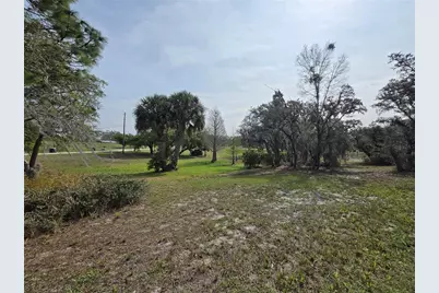 Petes Lane, Davenport, FL 33837 - Photo 5