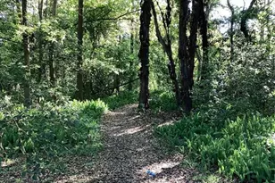 1158 Dekleva Dr, Apopka, FL 32712 - Photo 37