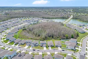 557 Pink Ibis Bnd, Saint Cloud, FL 34772 - Photo 21