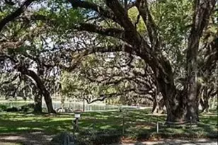 119 Tomoka Trail, Longwood, FL 32779 - Photo 17