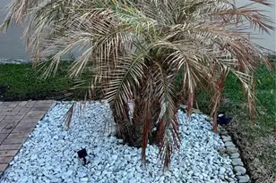 2820 Chantilly Ave, Kissimmee, FL 34741 - Photo 65