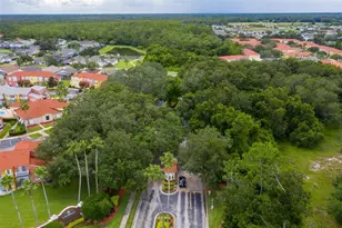 1118 Park Ridge Cir, Kissimmee, FL 34746 - Photo 45