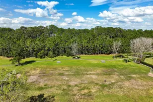 3320 Cordgrass Pl, Saint Cloud, FL 34773 - Photo 67