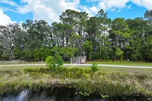 3320 Cordgrass Pl, Saint Cloud, FL 34773 - Photo 59