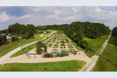 3320 Cordgrass Pl, Saint Cloud, FL 34773 - Photo 31