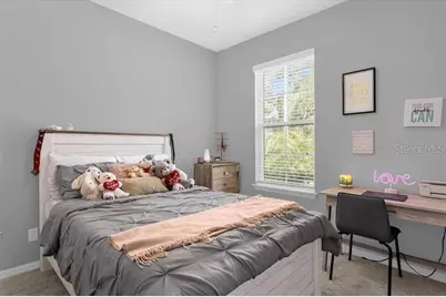 2320 E Grasmere View Parkway S, Kissimmee, FL 34746 - Photo 9