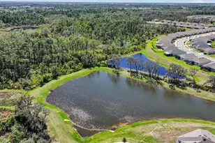 16587 Barbours Creek Way, Winter Garden, FL 34787 - Photo 49