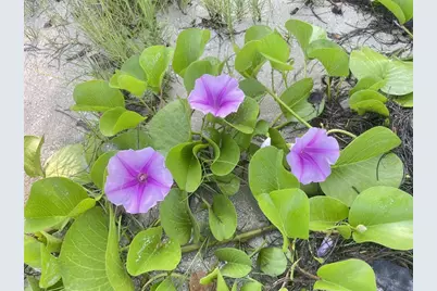 Coral Circle, Fort Pierce, FL 34949 - Photo 11