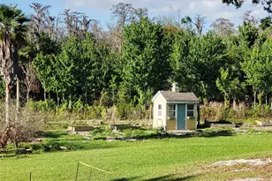 11807 Mintwood Ct, Orlando, FL 32837 - Photo 21