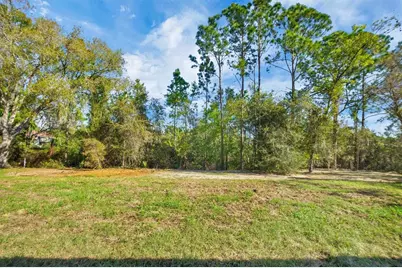 9003 Sheppard Drive, Lake Wales, FL 33898 - Photo 37