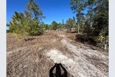 761 Goldrock Road, Lehigh Acres, FL 33974 - Photo 5