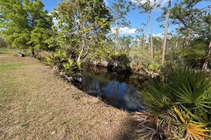 5005 Pierre Ave, Saint Cloud, FL 34773 - Photo 29