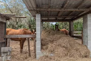 1785 Sundance Dr, Saint Cloud, FL 34771 - Photo 53