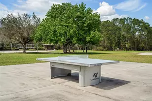 3446 Schoolhouse Rd, Harmony, FL 34773 - Photo 57