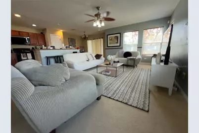 2552 Aventurine Street, Kissimmee, FL 34744 - Photo 3