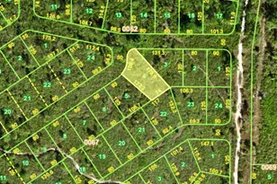 1100 Sawfish Ln, Punta Gorda, FL 33982 - Photo 1