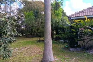 10633 Windsor Pl, Orlando, FL 32821 - Photo 43