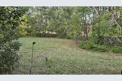 10633 Windsor Place, Orlando, FL 32821 - Photo 39