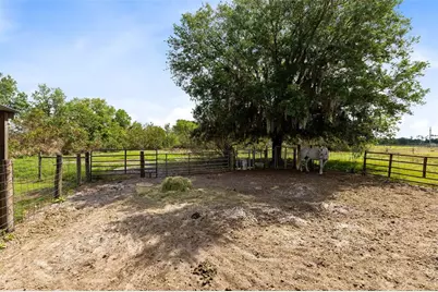 3591 N Canoe Creek Road, Kenansville, FL 34739 - Photo 37