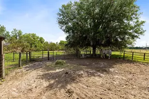3591 N Canoe Creek Rd, Kenansville, FL 34739 - Photo 37