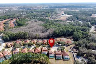 163 Tigerlily Ct, Davenport, FL 33837 - Photo 63