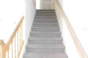 1720 Arabian Ln, Palm Harbor, FL 34685 - Photo 23