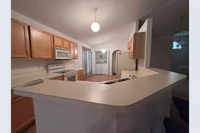 273 Curtis Avenue, Groveland, FL 34736 - Photo 3