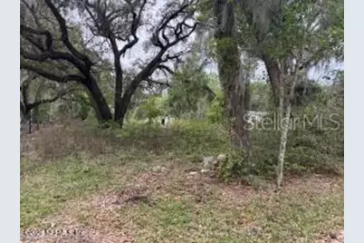 6621 Virginia Beach Lane, Keystone Heights, FL 32656 - Photo 13