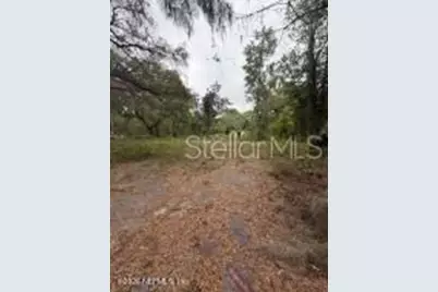 6621 Virginia Beach Lane, Keystone Heights, FL 32656 - Photo 5