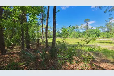 1013 Cupid Avenue, Christmas, FL 32709 - Photo 35