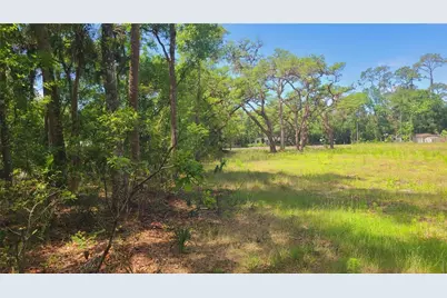 1013 Cupid Avenue, Christmas, FL 32709 - Photo 33