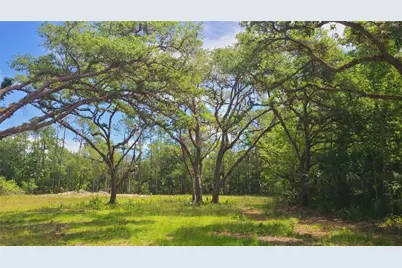 1013 Cupid Avenue, Christmas, FL 32709 - Photo 11