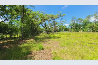 1013 Cupid Avenue, Christmas, FL 32709 - Photo 37