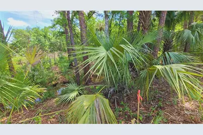 1013 Cupid Avenue, Christmas, FL 32709 - Photo 23