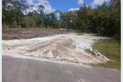 1013 Cupid Avenue, Christmas, FL 32709 - Photo 3
