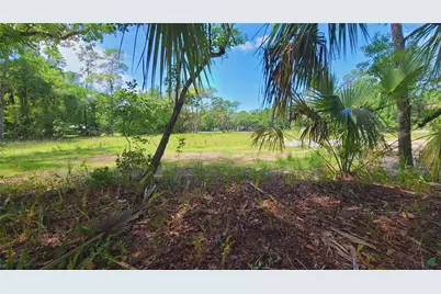 1013 Cupid Avenue, Christmas, FL 32709 - Photo 29