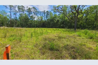 1013 Cupid Avenue, Christmas, FL 32709 - Photo 17