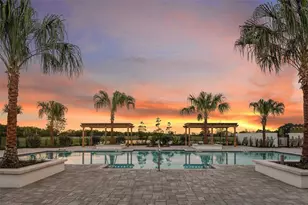 5141 Spring Maiden Circle, Apollo Beach, FL 33572 - Photo 41