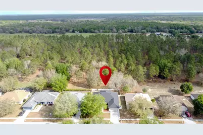 31249 Satinleaf Run, Brooksville, FL 34602 - Photo 59