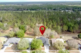 31249 Satinleaf Run, Brooksville, FL 34602 - Photo 59