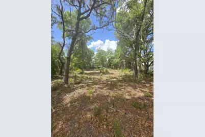 8140 Walt Williams Road, Lakeland, FL 33809 - Photo 3