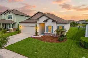 31041 Jazz Leaf Pl, San Antonio, FL 33576 - Photo 1