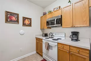 2302 Butterfly Palm Way, Kissimmee, FL 34747 - Photo 15