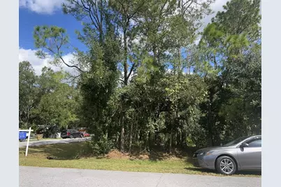 Wauchula Street, Intercession City, FL 33848 - Photo 3