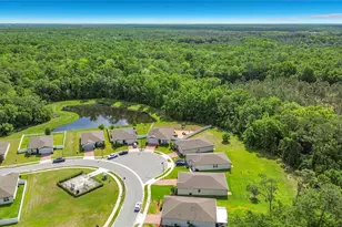 525 Vista Villages Blvd, Davenport, FL 33896 - Photo 17