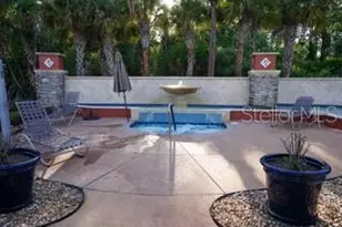 281 Crystal River Dr, Kissimmee, FL 34759 - Photo 43