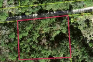 Lot 48 Amelia Trail, Kissimmee, FL 34747 - Photo 1