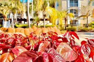 8908 Legacy Ct, Kissimmee, FL 34747 - Photo 53